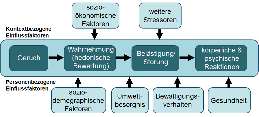 Diagramm der Einflussfaktoren auf die Geruchswahrnehmung: Sozioökonomische Faktoren, soziographische Faktoren, Umweltbesorgnis, Bewältigungsverhalten und und Gesundheit beeinflussen die Wahrnehmung, das Empfinden ob der GEruch belästigend ist und sogar psychische und körperliche Reaktionen hervorruft